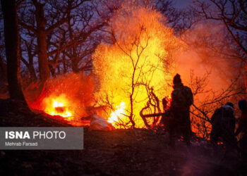 انصاری: آتش‌سوزی الیت ۲۰ روز مداوم نبود/ ضرورت تشکیل یگان ویژه اطفای حریق جنگل‌ها