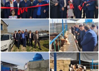 دهه فجر؛ بهره‌برداری از پروژه‌های تولیدی و زیرساختی در نکا با حضور معاون استاندار