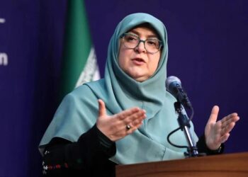  سخنگوی دولت: فعلا خبری از افزایش مبلغ کالابرگ نیست