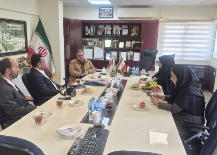 تأمین نشدن مواد اولیه و مجوزهای استخراج،روند تولید سیمان را دچار بحران می کند